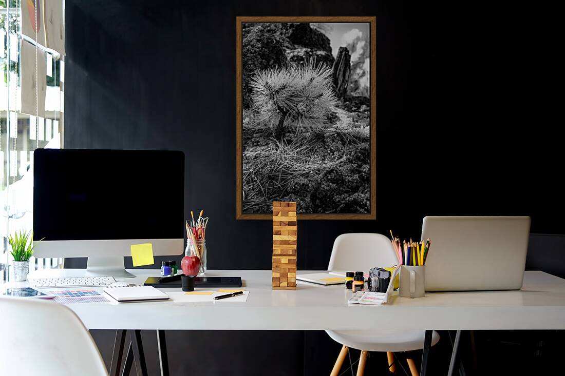 Exploring Sylvan Lake: A Baby Pine Reproduction