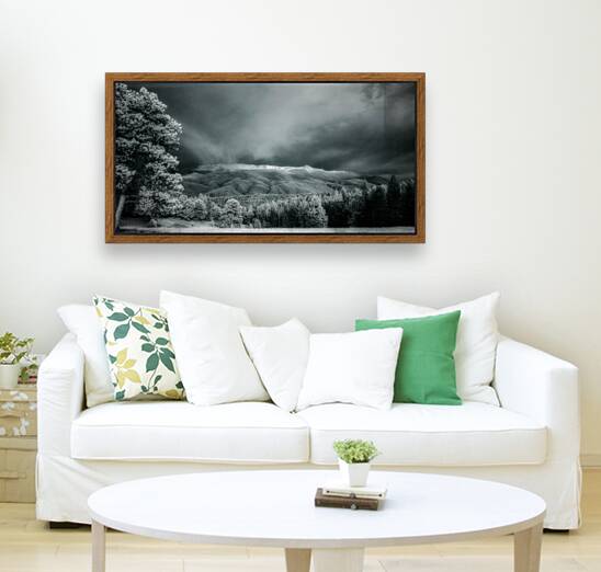 Muellers Mystique Reproduction