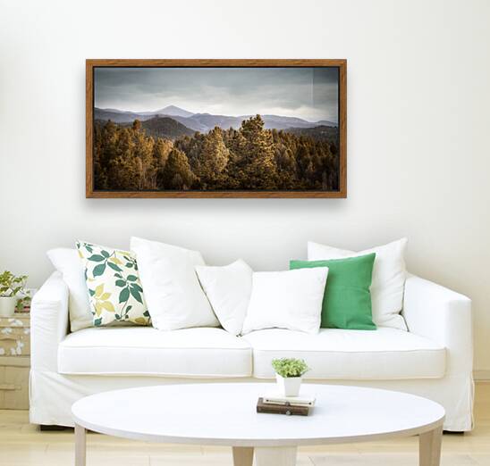 Mueller Aspen Series: Mountain View Reproduction