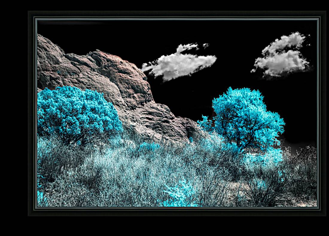 Majestic Rock Wall: Exploring Garden of the Gods Blue Mountain Trees Reproduction