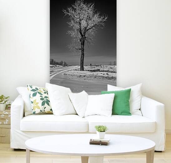 Winters Solitary Sentinel Reproduction