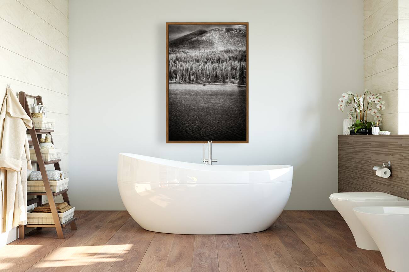 Enchanted Wilderness: Moose Haven in Rocky Mountain Park Reproduction