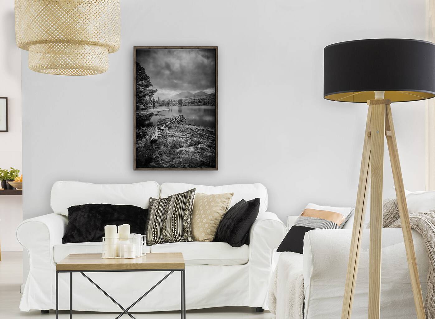 Fallen Sentinels: Rocky Mountain National Park Reproduction