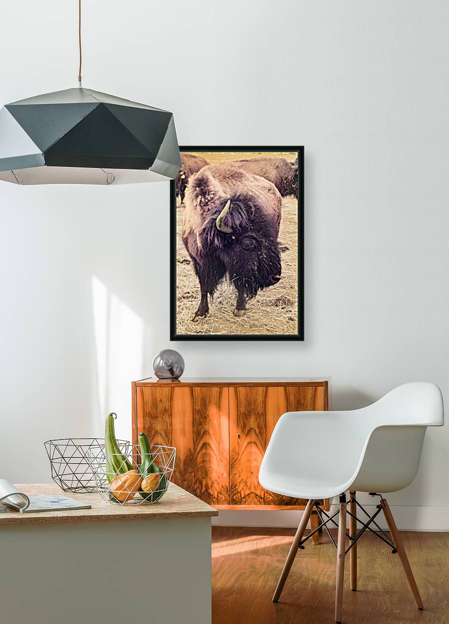 Mane of the Plains Reproduction