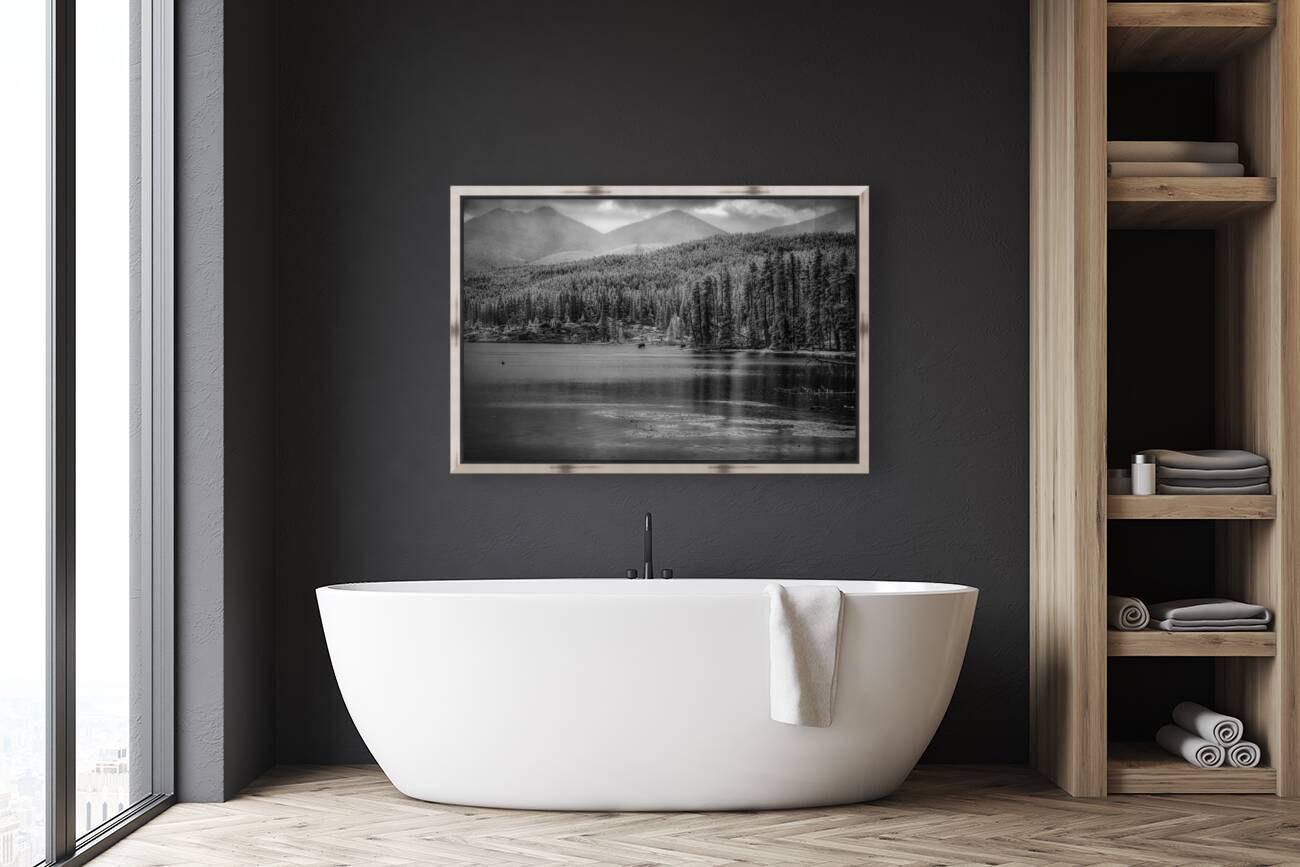 Wilderness Elegance: Moose in Rocky Mountain Park Reproduction