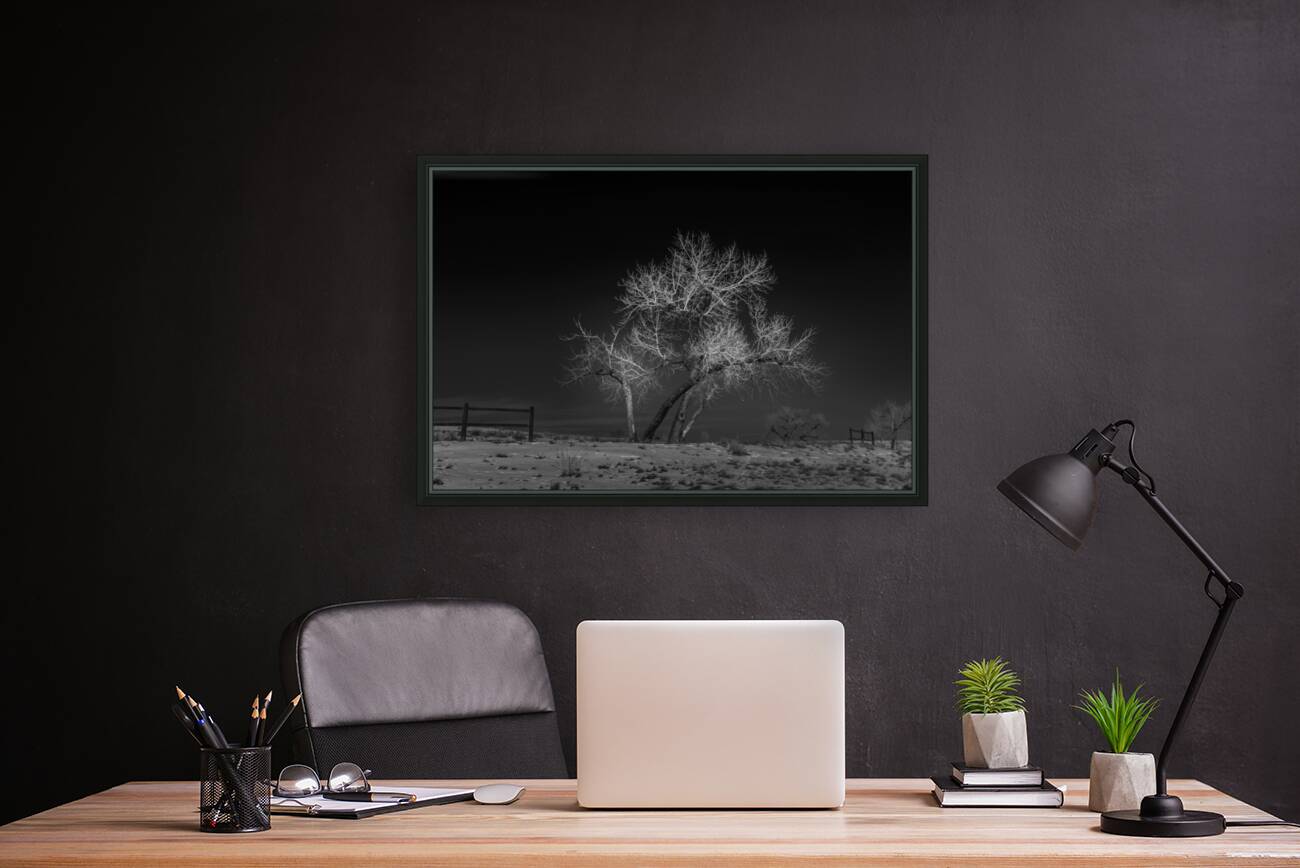 Mile-High Luminescence Reproduction