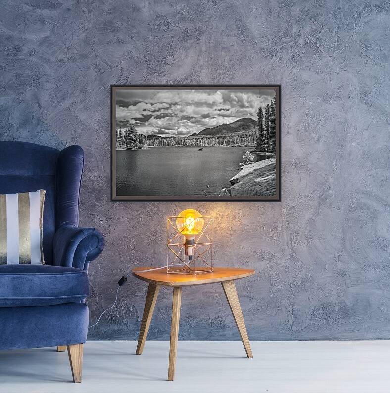 Wild Harmony - A Journey into Natures Beauty Reproduction