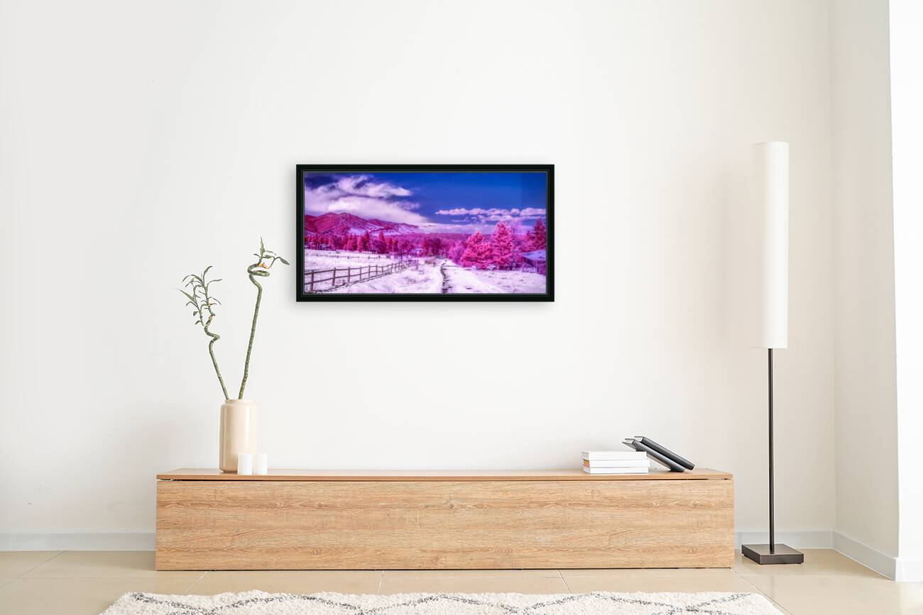 Chautauqua Chronicles: Pink Path Reproduction