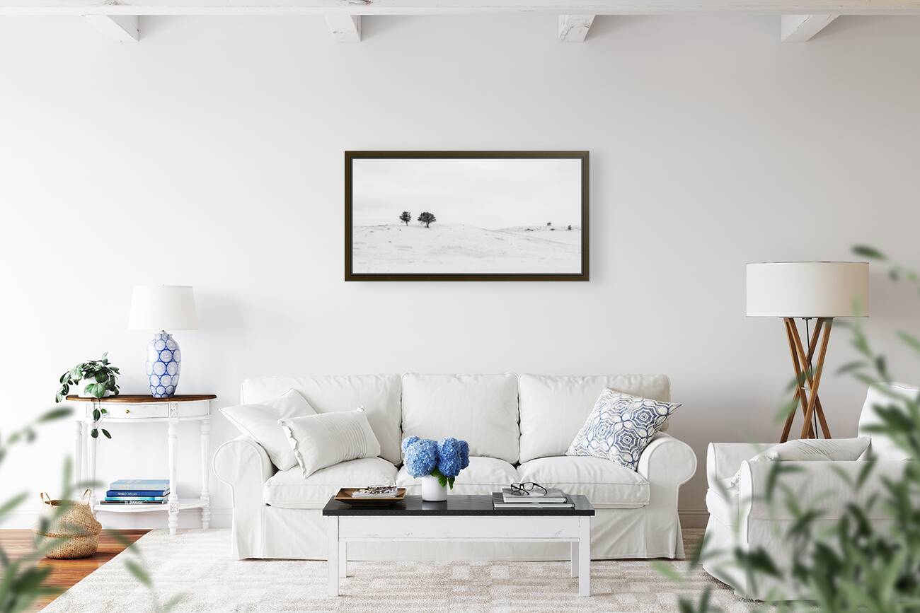 Winters Elegance: A High Key at Flatirons Trailhead Reproduction