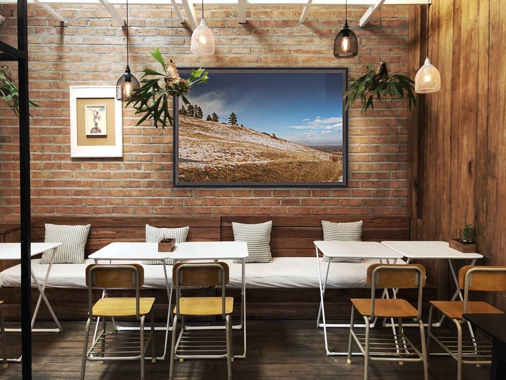 Chautauqua Chronicles: Pines on a Hill Reproduction