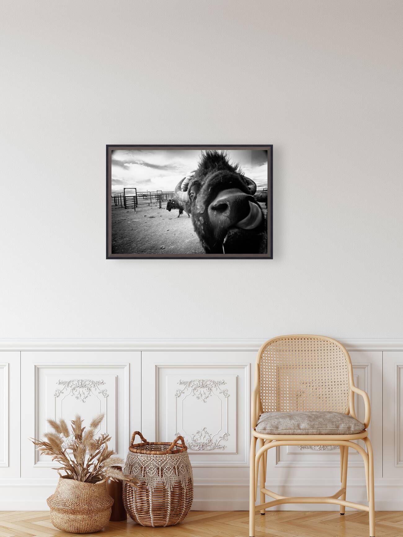 Hello: A Bison’s Surprise Greeting Reproduction