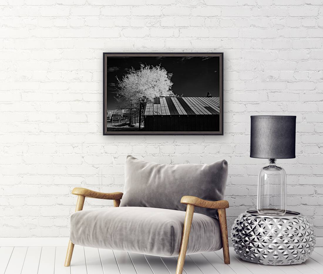 Nebraska Farm - 29 Reproduction