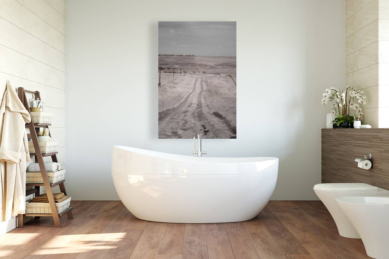 Nebraska Farm Lane -1  Reproduction