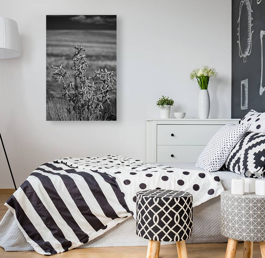 Solitude of Spine Reproduction