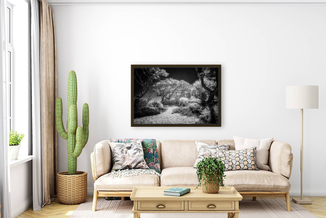 Island Path Reproduction