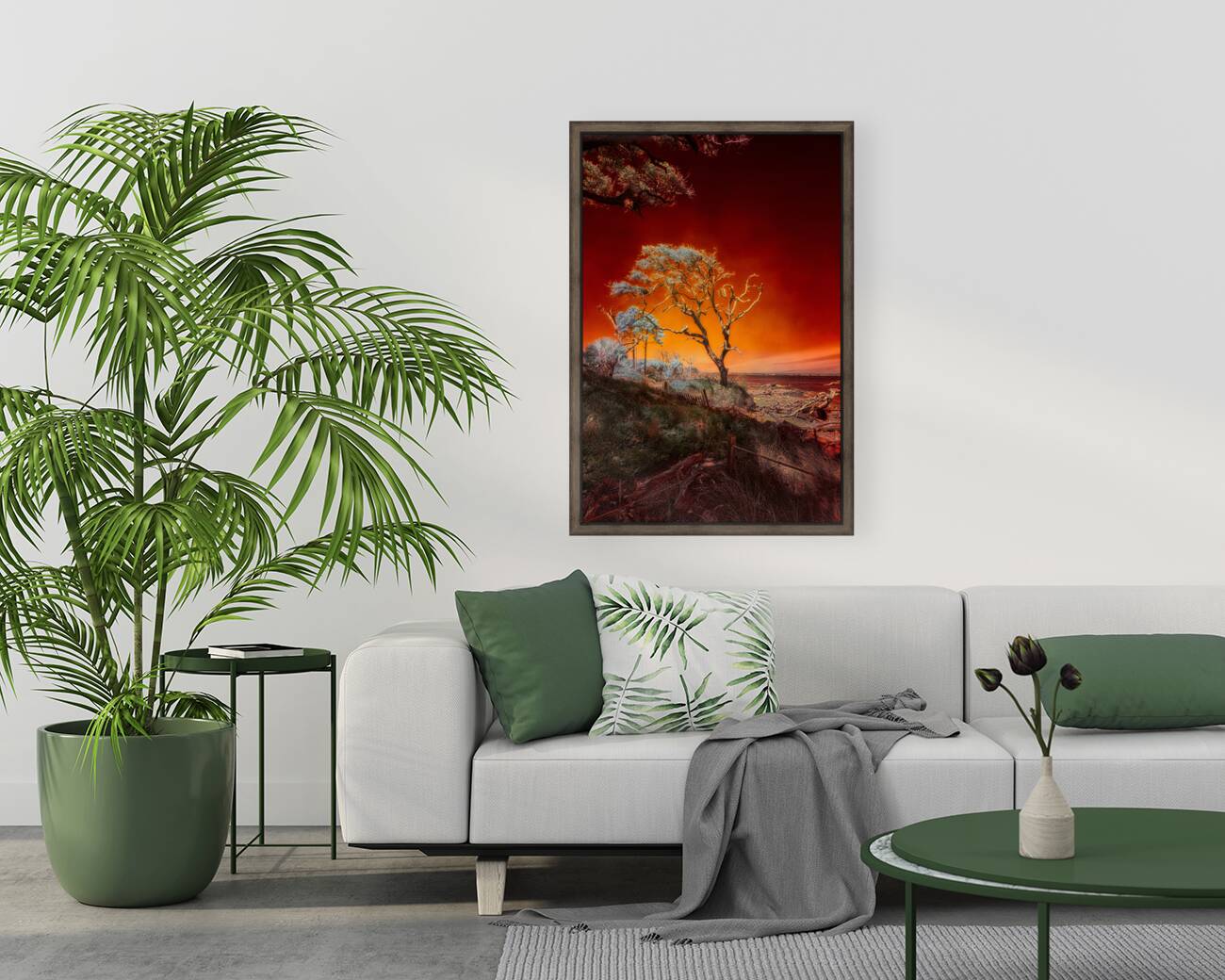 Ruby Bonsai: A Botanical Marvel Unveiled on Driftwood Beach Reproduction