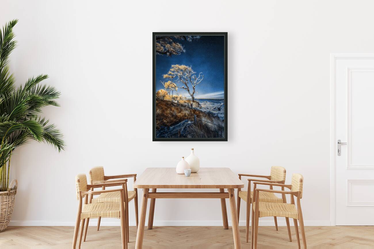 Blue Bonsai: A Botanical Marvel Unveiled on Driftwood Beach Reproduction