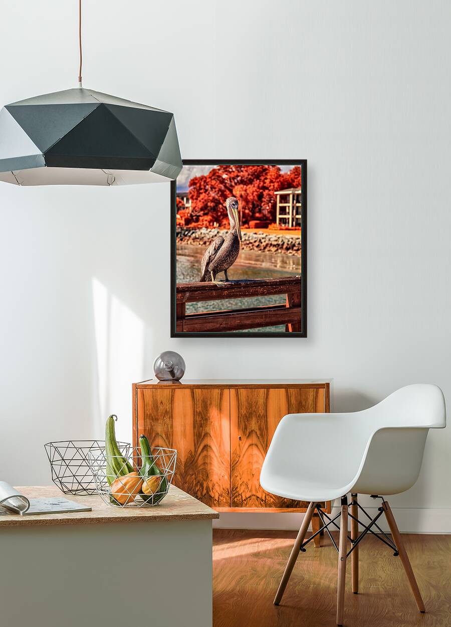 Pier Perch: A Quest for the Majestic Pelican at Saint Simons Island Georgia Reproduction