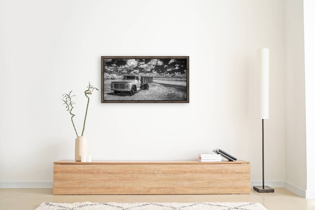 Vineyard Harmony: A Southern Georgia Winery Adventure Reproduction