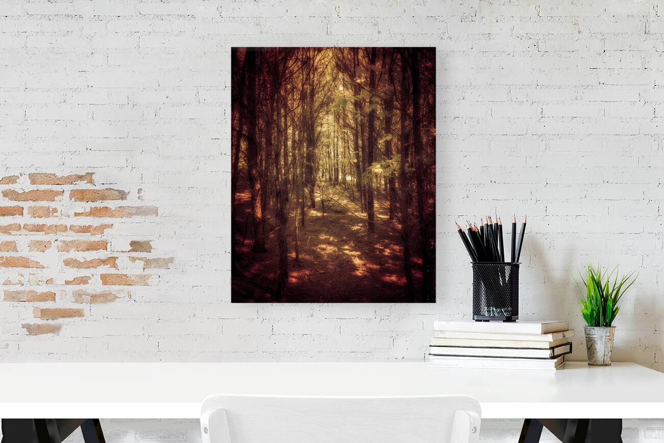 Auburn Forest Reproduction