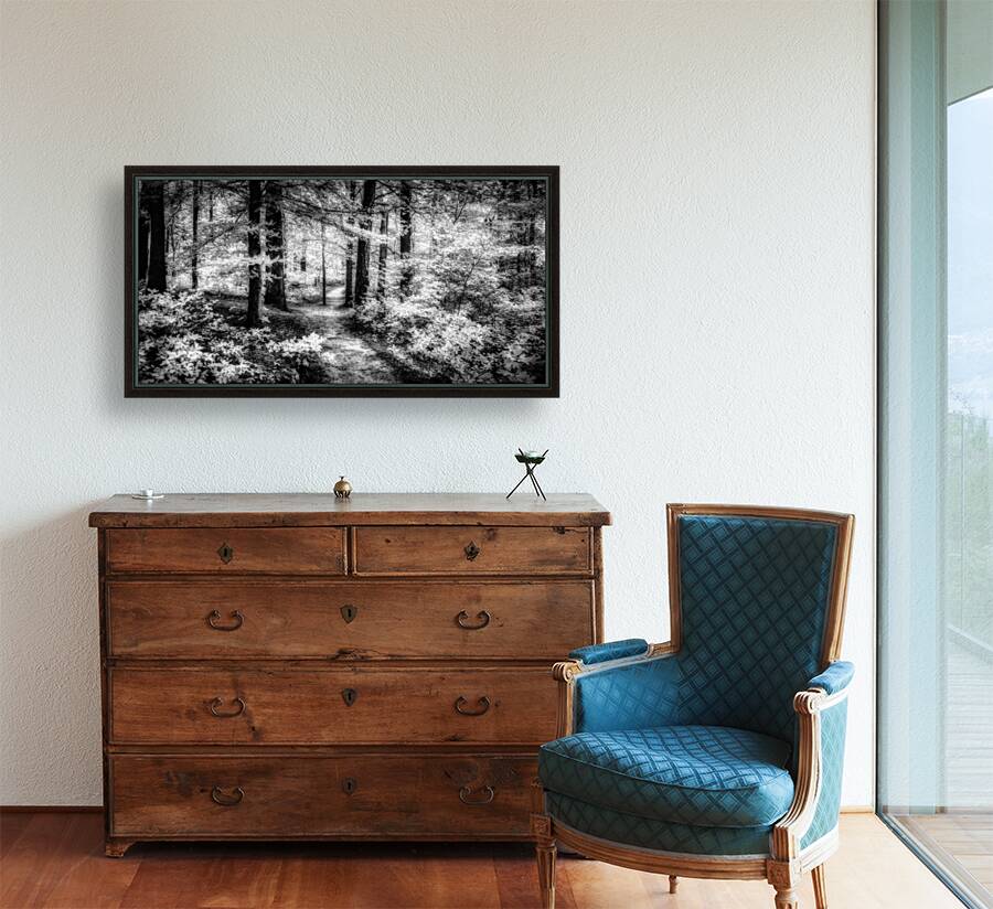 Killens Path: Serene Infrared Passage Reproduction