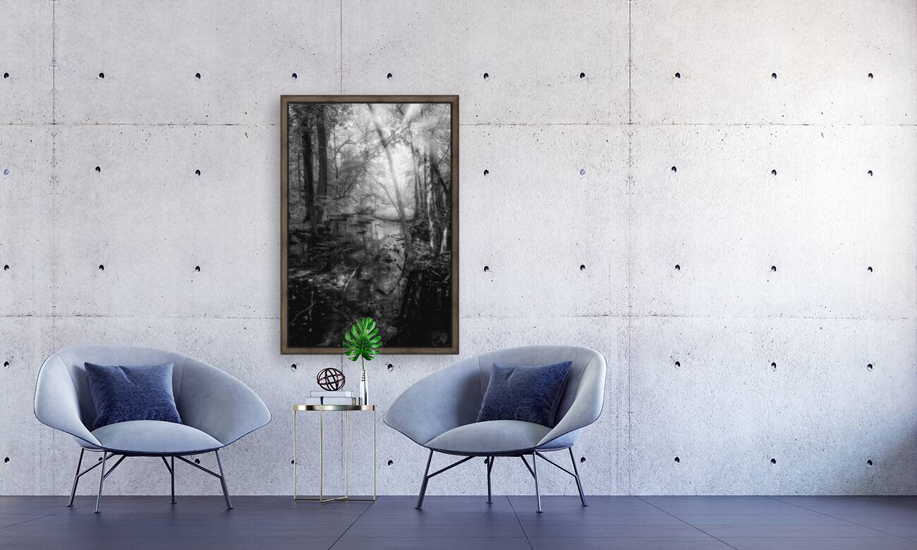 Killens Swamp Reproduction