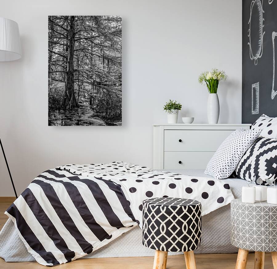 Louisiana Cypress Reproduction