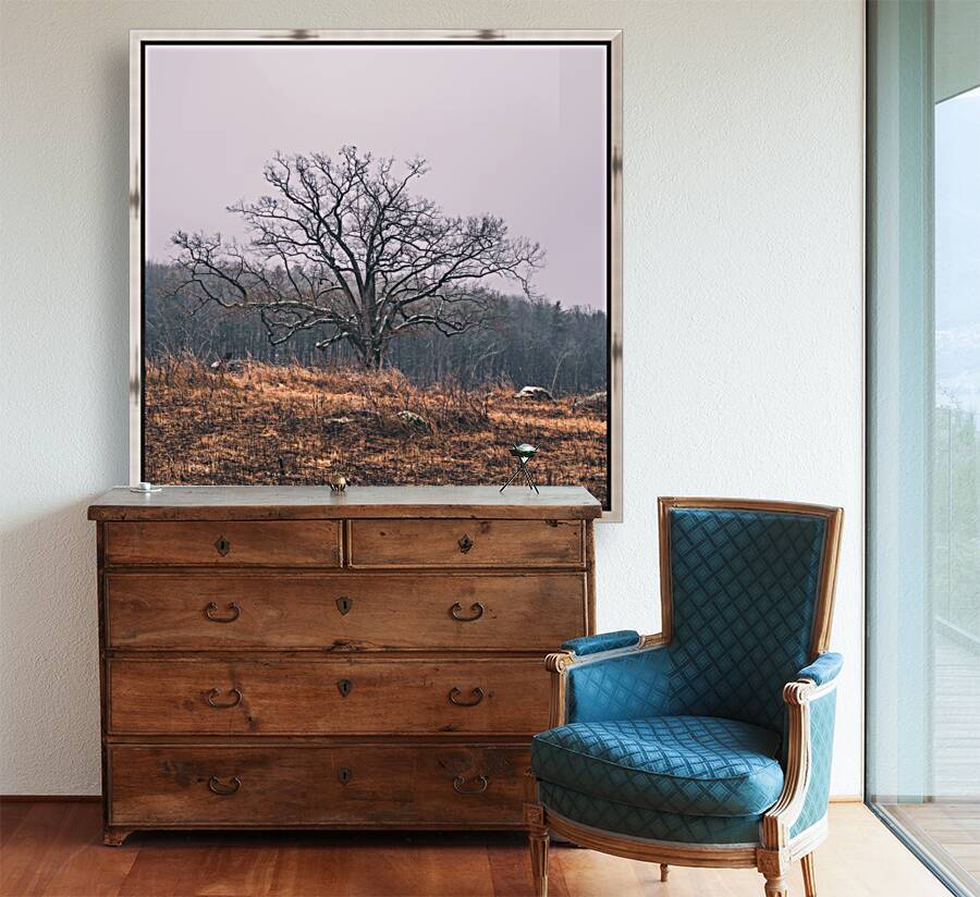 Over the Hill Reproduction