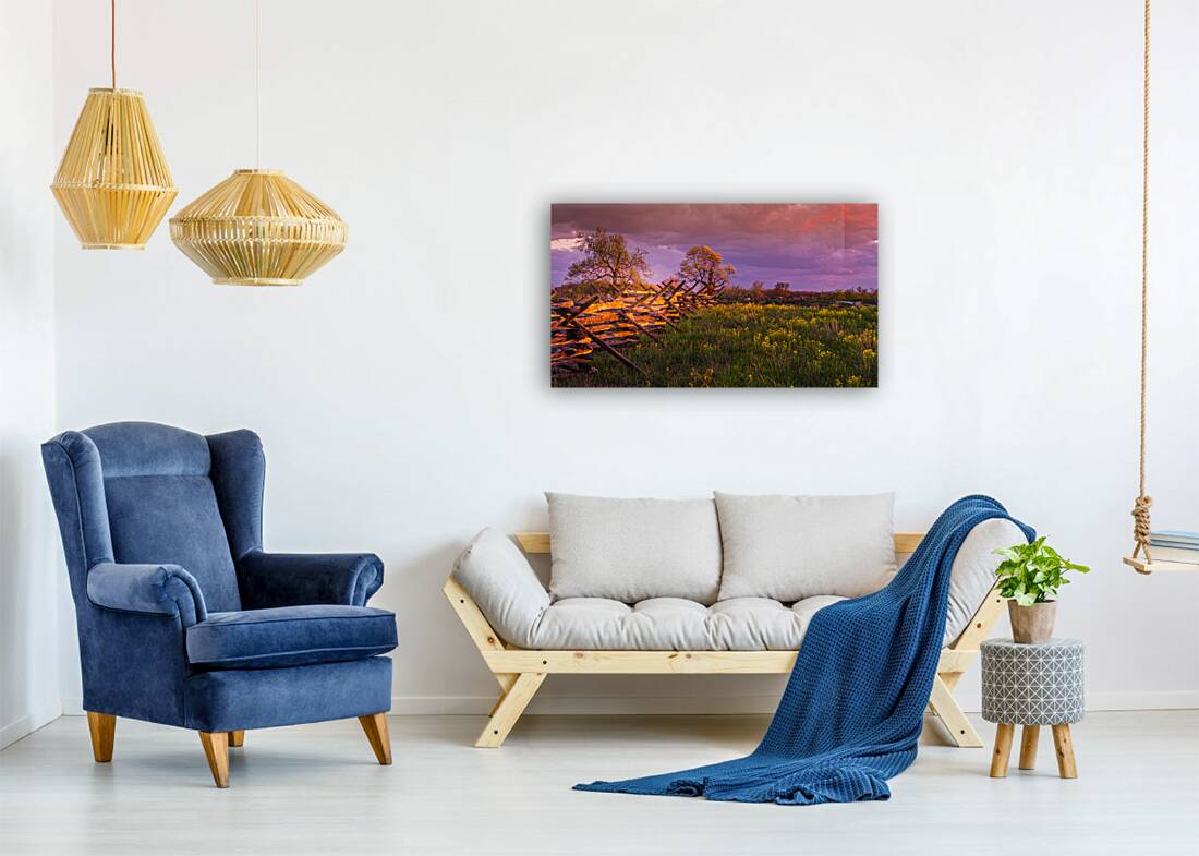 Sunset Fence Reproduction