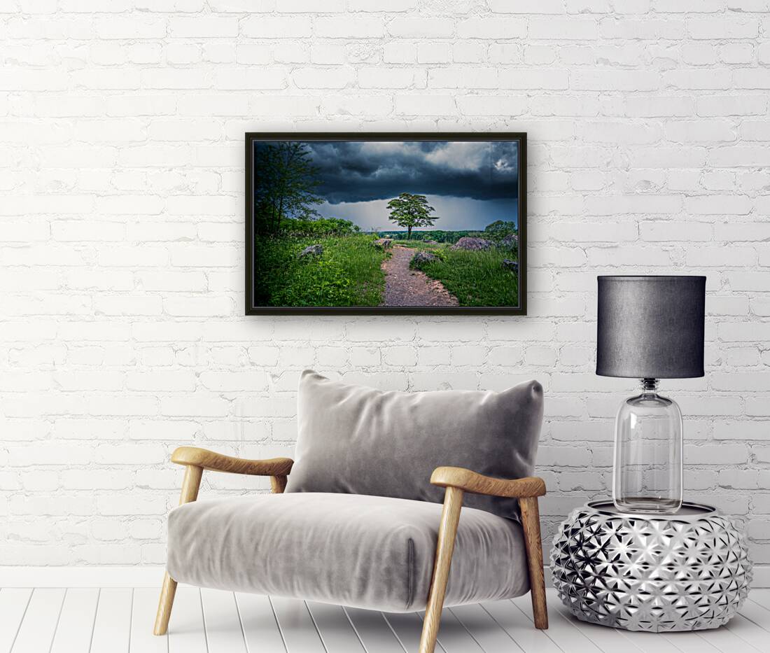 Solitude and Serenity: A Hike through Little Round Tops Enchanted Trail under the Brooding Storm Reproduction