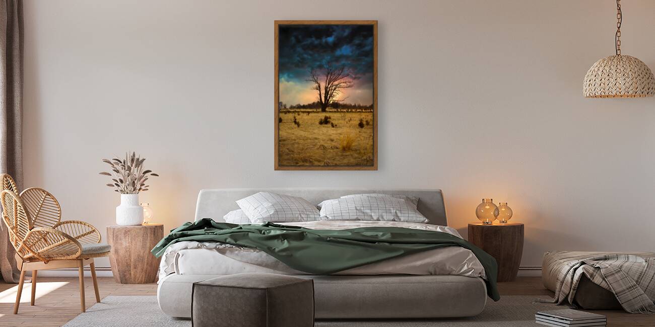 Stormy Solitude Reproduction