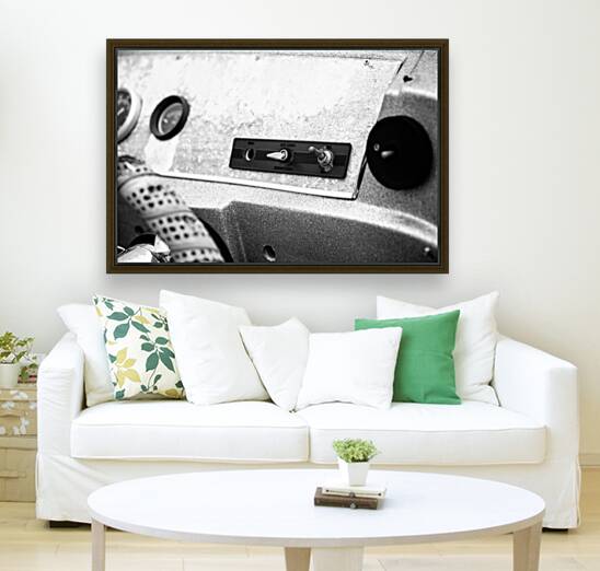 Shipshape Decay: Close-Up Captures Reproduction