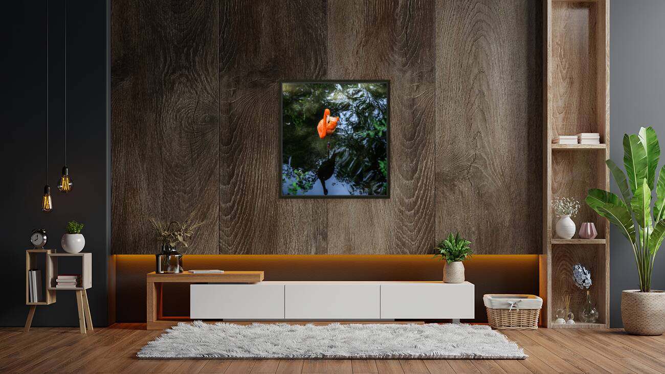 Feathered Wonders: Exploring Homosassa State Park Reproduction