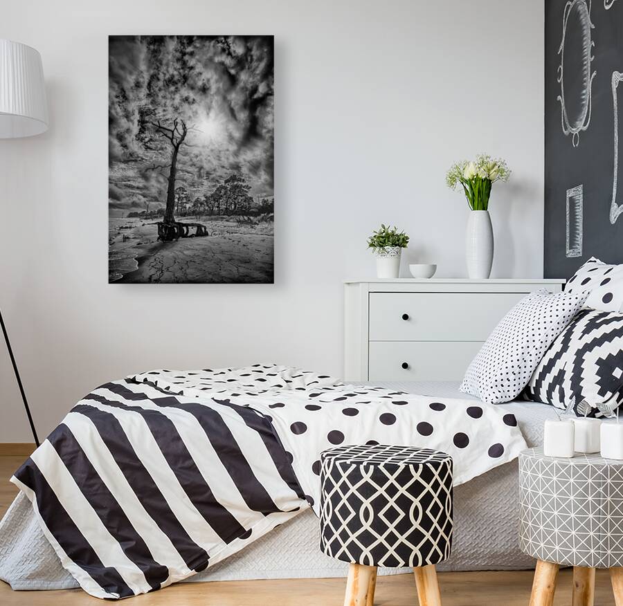 Shadowy Reproduction