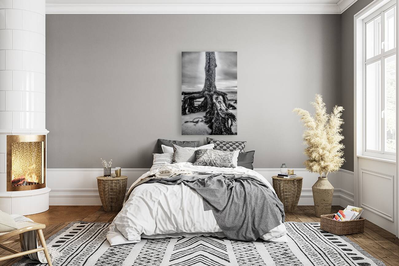 Rooted in Sand Reproduction