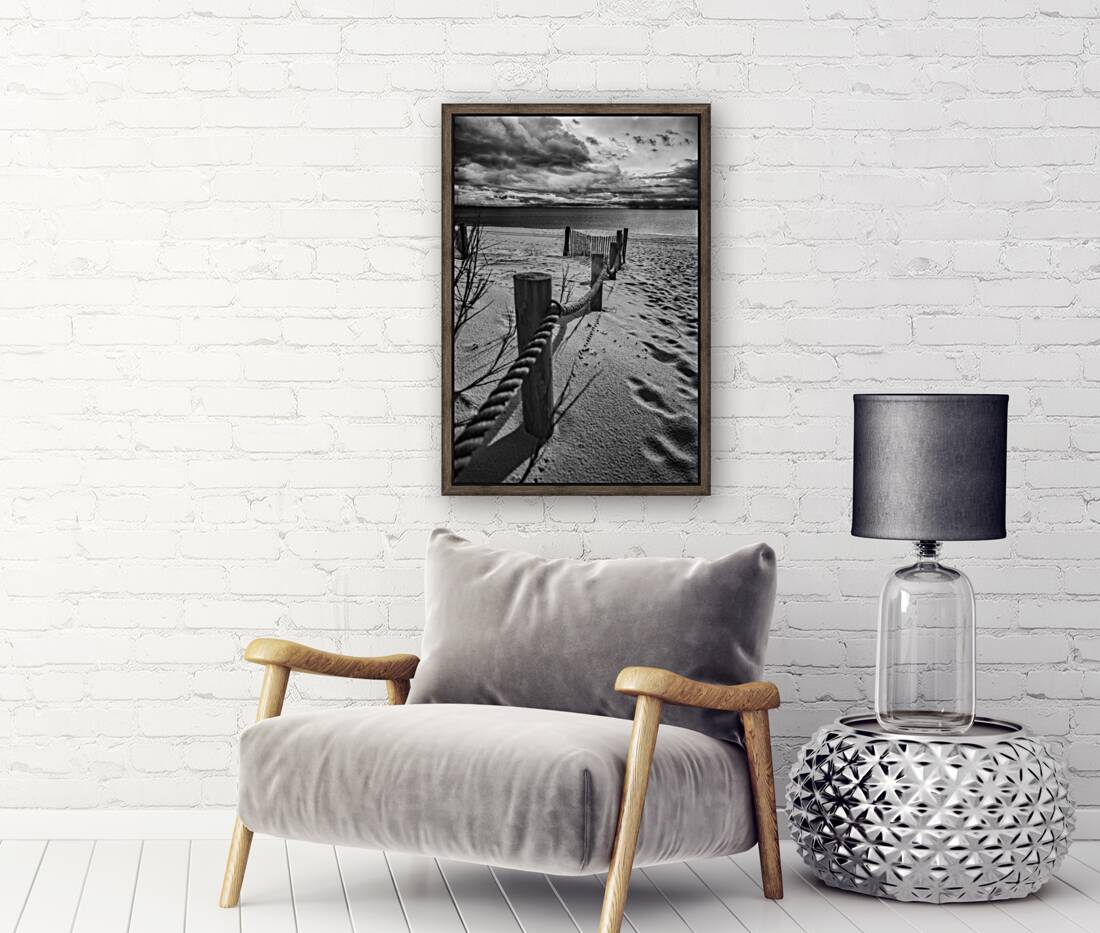 Gulf Coast Barrier Reproduction