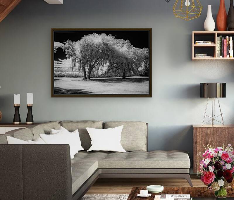 Neutral Trees Reproduction