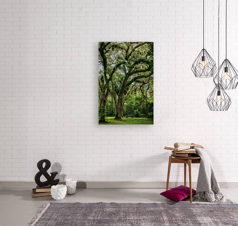 Unexpected Charms: Yuhlee Sugar Plantations Tranquil Oak Haven in Florida Reproduction