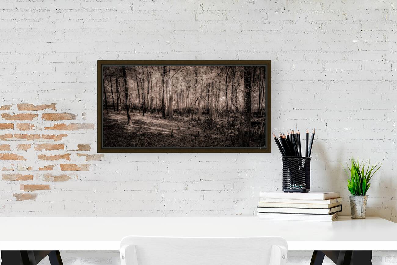 Cypress Shadows at Dawn Reproduction