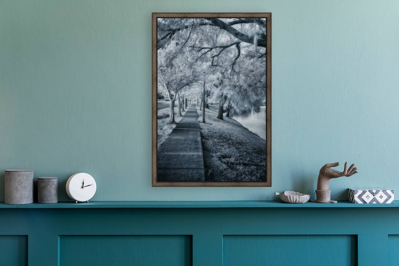 Spanish Moss Promenade Reproduction