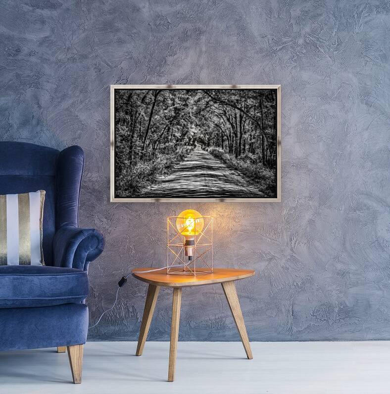 Florida Dirt Road Reproduction