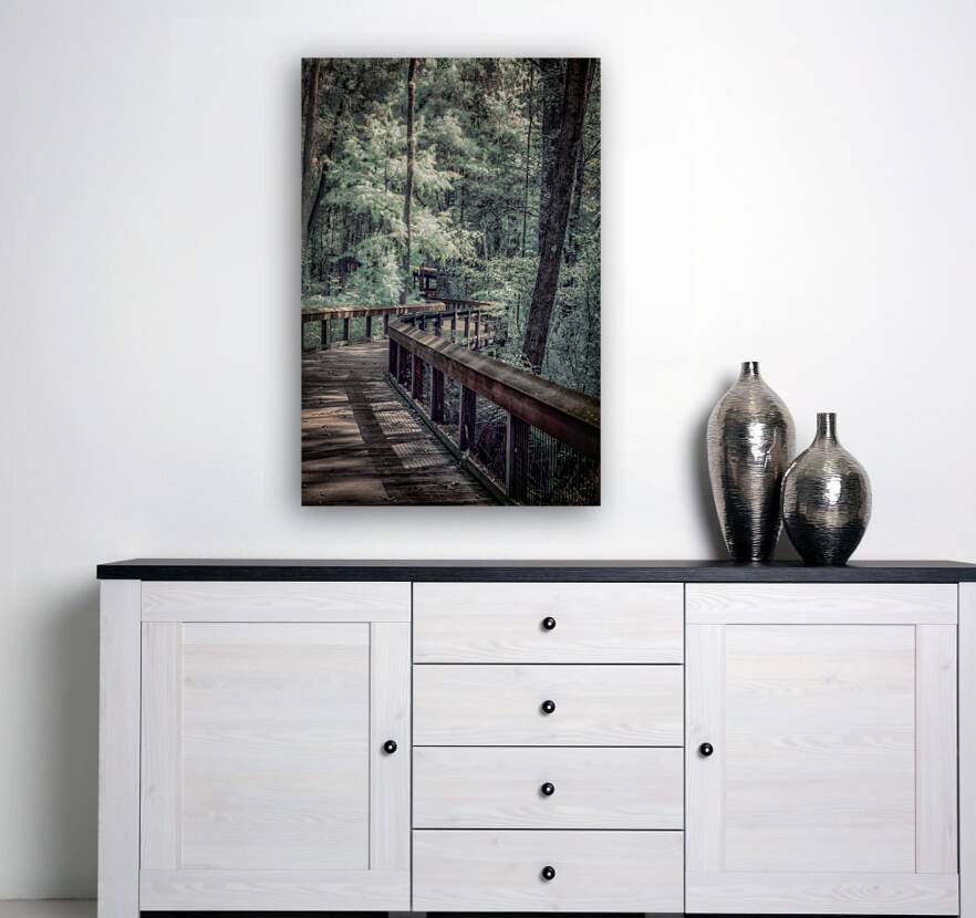 Forests Winding Welcome Reproduction