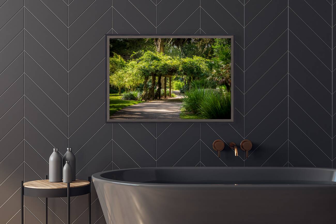 Rainbow Springs Path Reproduction