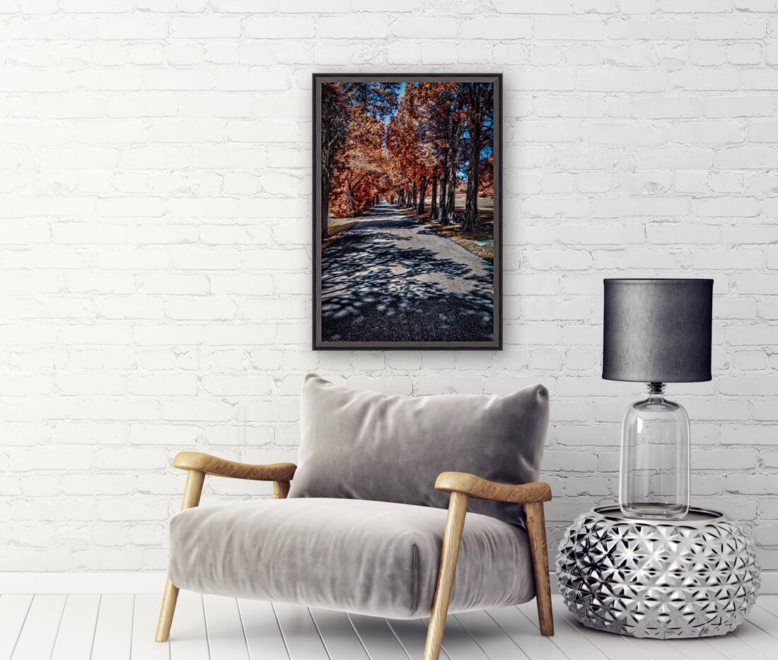 Infrared roadway Reproduction