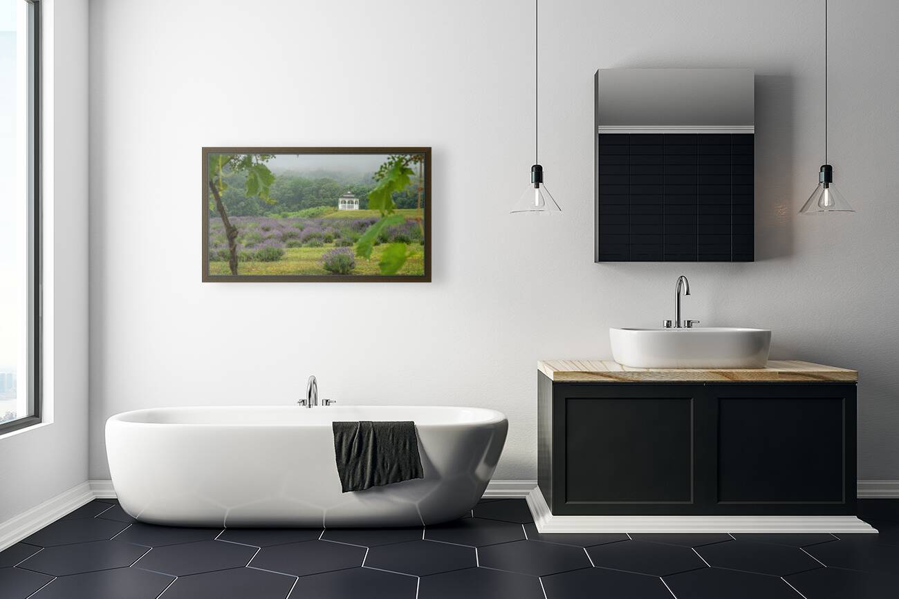 Thru the Vine Reproduction