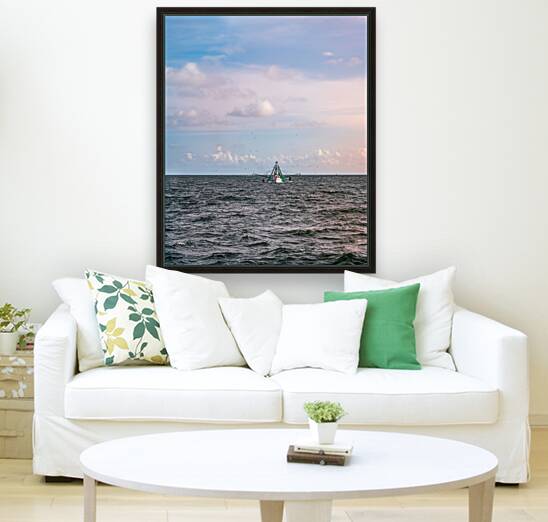 Fishing for Birds Reproduction