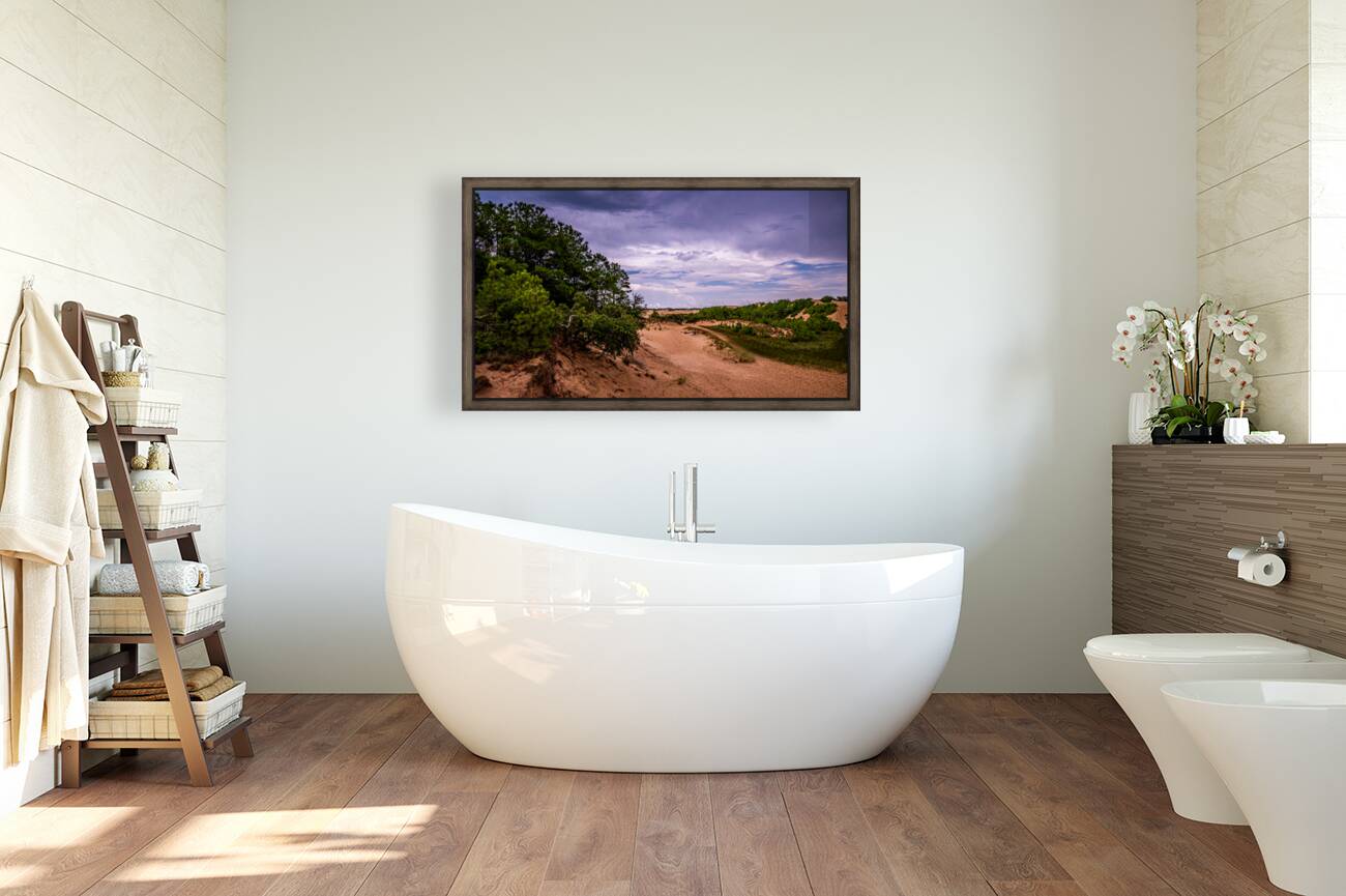 Jockey Ridge State Park Reproduction