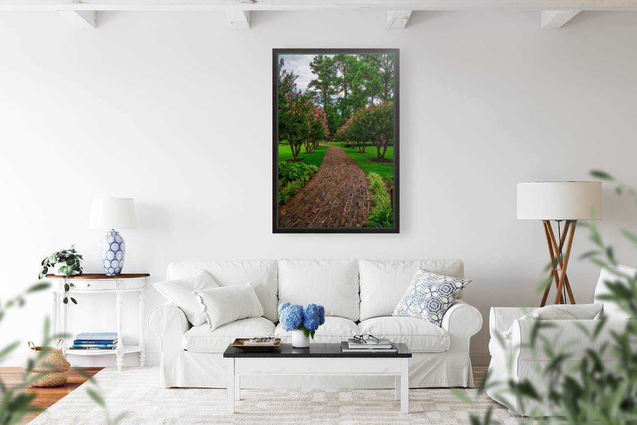 Crepe Myrtles Pathway Reproduction