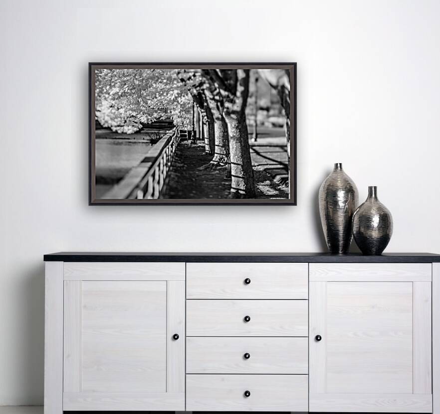 Monochrome Serenity: Exploring Yorks Riverside Beauty Reproduction