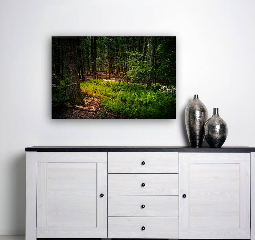 Fern Light Reproduction